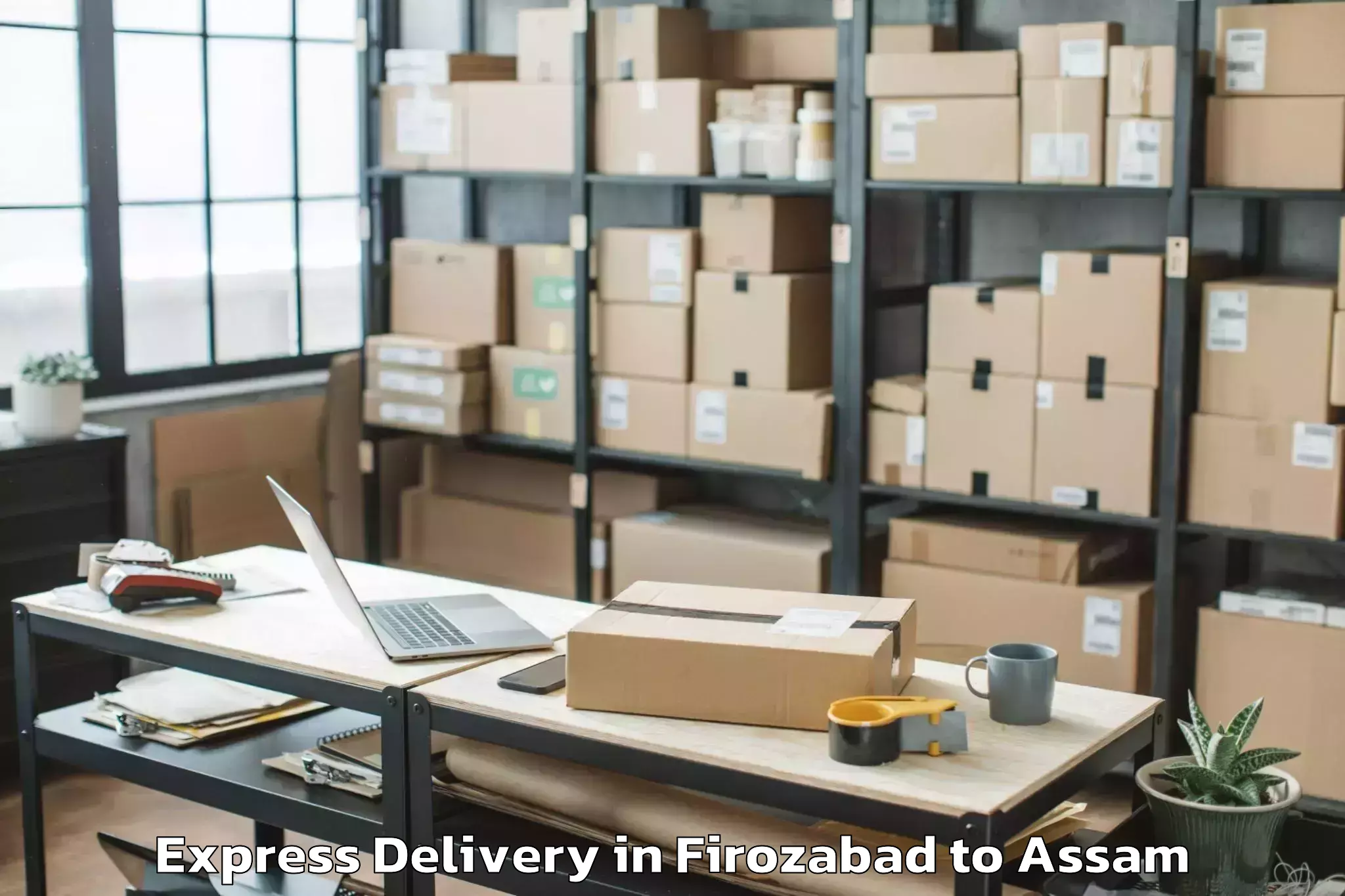 Professional Firozabad to Dhing Town Express Delivery